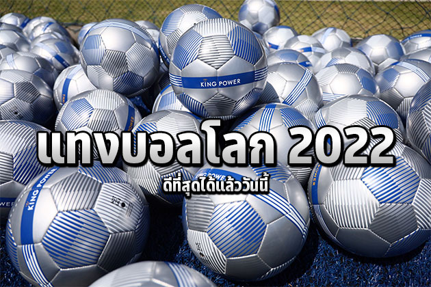 เชียร์ทีมโปรดกับเว็บแทงบอลโลก 2022